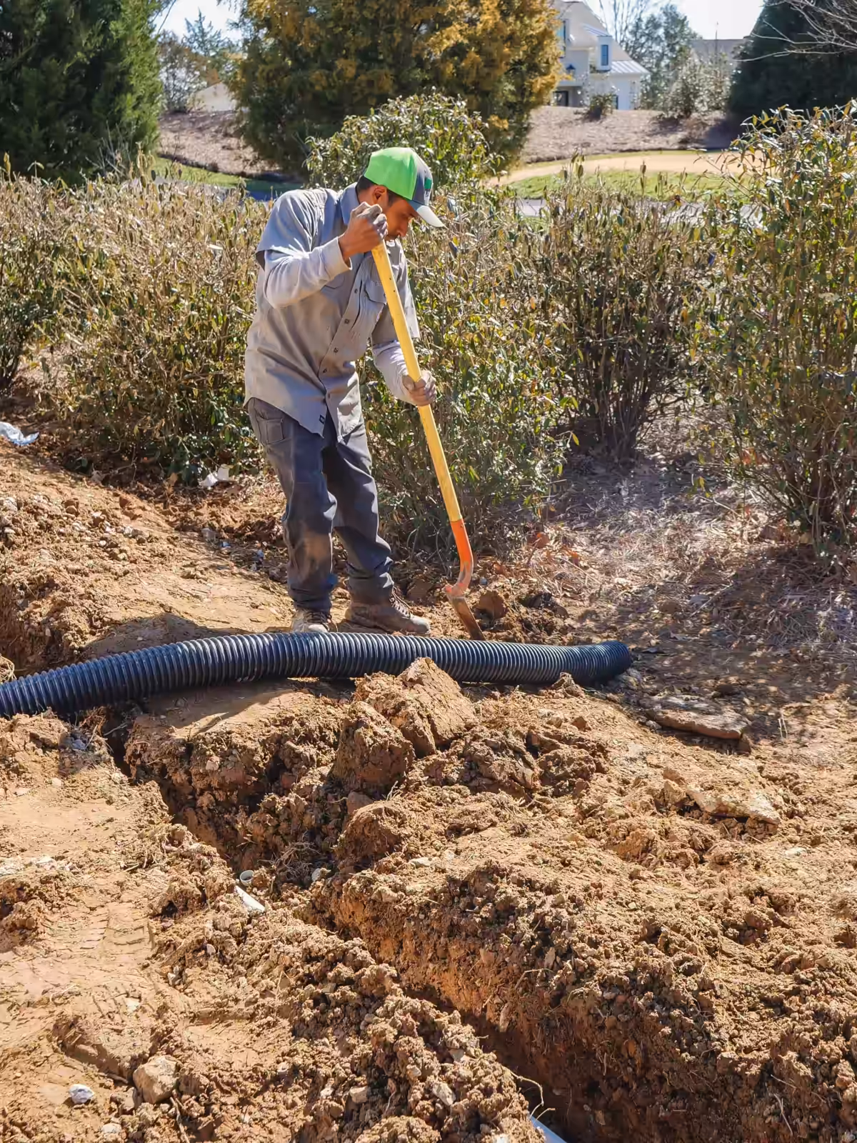 Laying drain pipe in a trench along the shrub beds