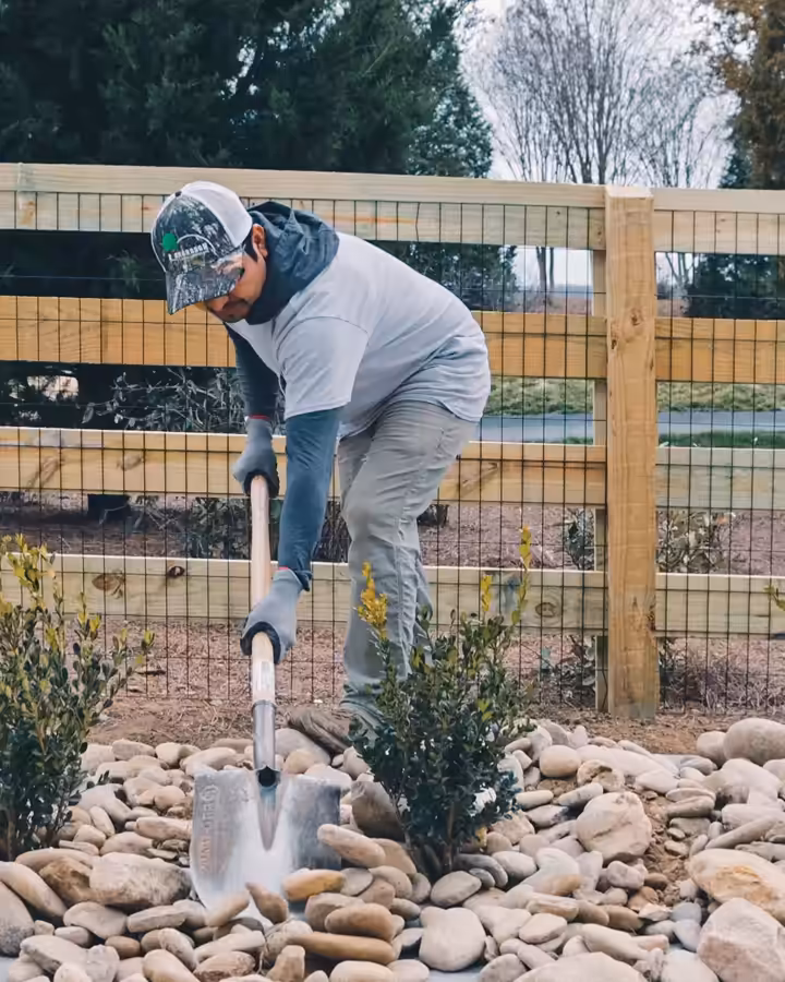 Richardson crew member planting shrubs in a river-rock bed along a farm fence