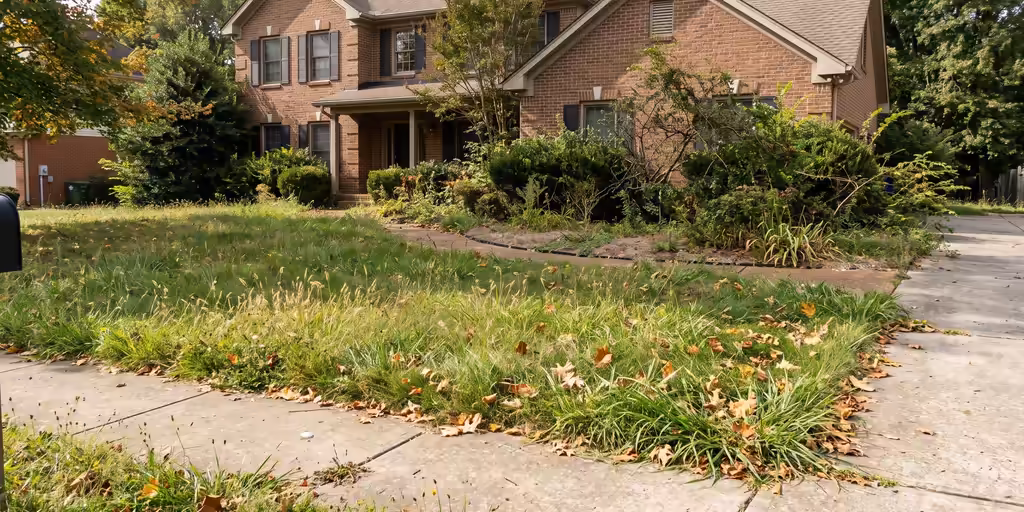 Before: Brick home with a shaggy, overgrown lawn, grass spilling over the sidewalk, weedy beds and scattered leaves