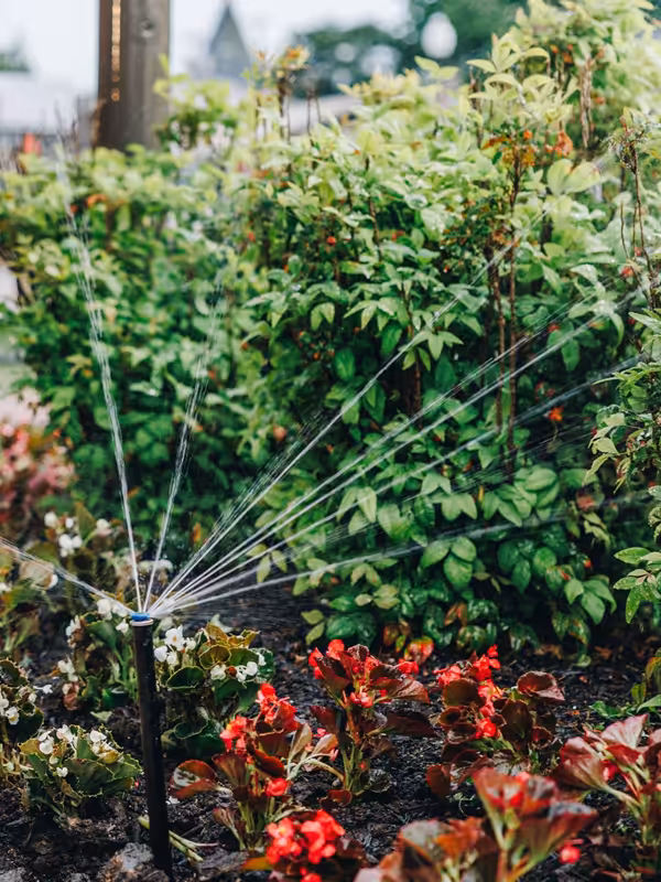 Rotor sprinkler throwing a fine arc of water across a lawn at sunrise