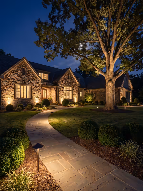 Warm uplights on an oak tree and path lights along a stone walkway at night