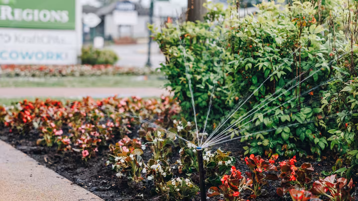 Pop-up spray head watering a bed of red and white begonias and shrubs in downtown Columbia