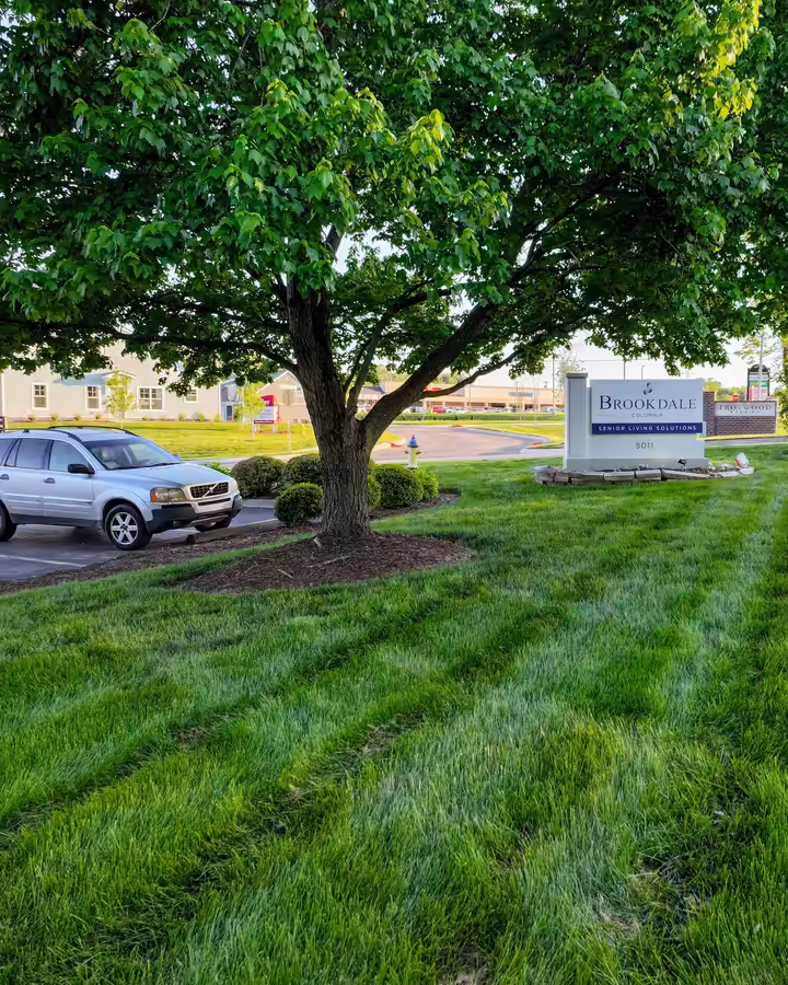 Thick striped lawn under a shade tree at Brookdale